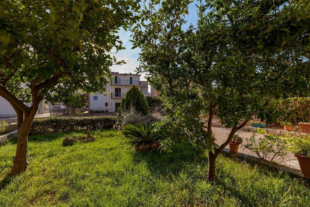 Apartmani Sanja Suta Podstrana Extérieur photo