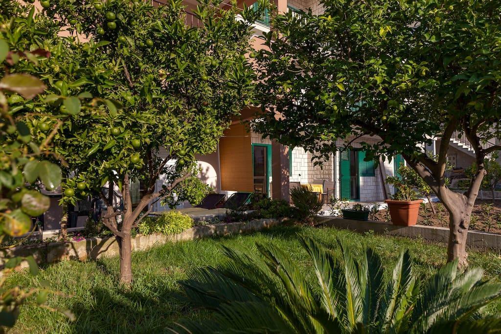 Apartmani Sanja Suta Podstrana Extérieur photo